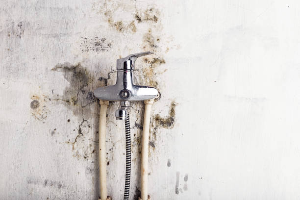Best Water Damage Restoration  in Hartland, WI