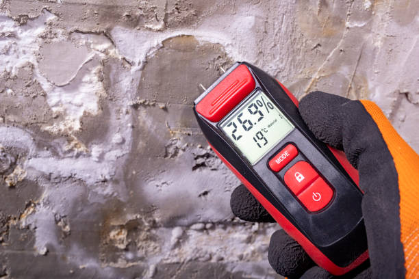 Best Certified Mold Removal  in Hartland, WI