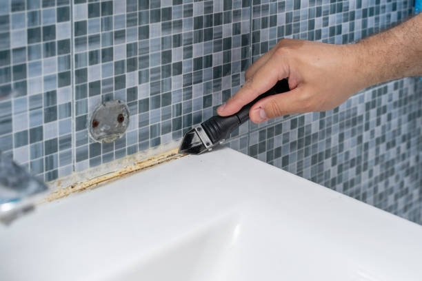 Best Mold Damage Repair  in Hartland, WI